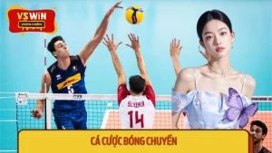 Cá Cược Bóng Chuyền VSWIN - Đặt Kèo Dễ Hiểu, Trúng Dễ Dàng