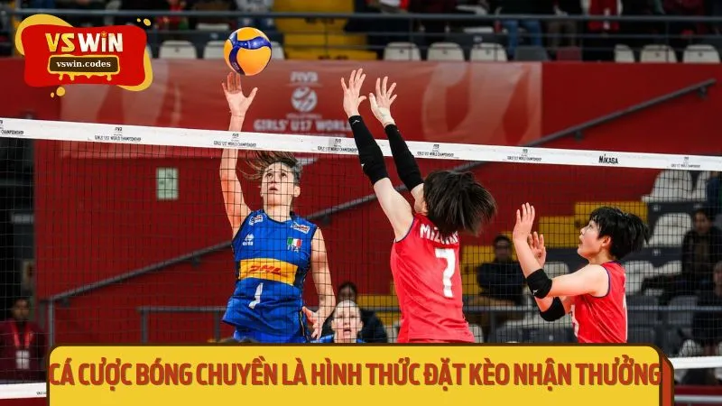 Cá cược bóng chuyền là hình thức đặt kèo nhận thưởng