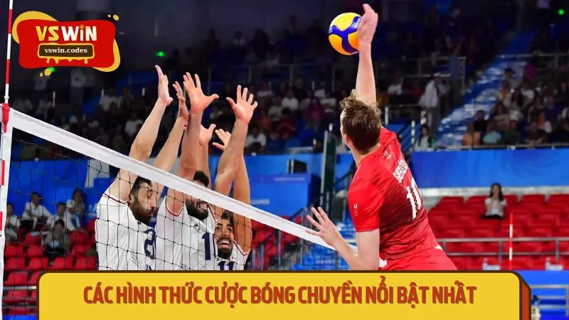 Các hình thức cược bóng chuyền nổi bật nhất