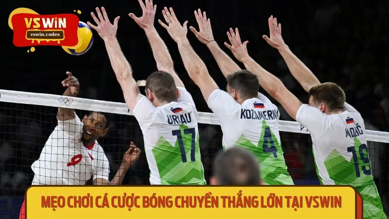 Mẹo chơi cá cược bóng chuyền thắng lớn tại VSWIN